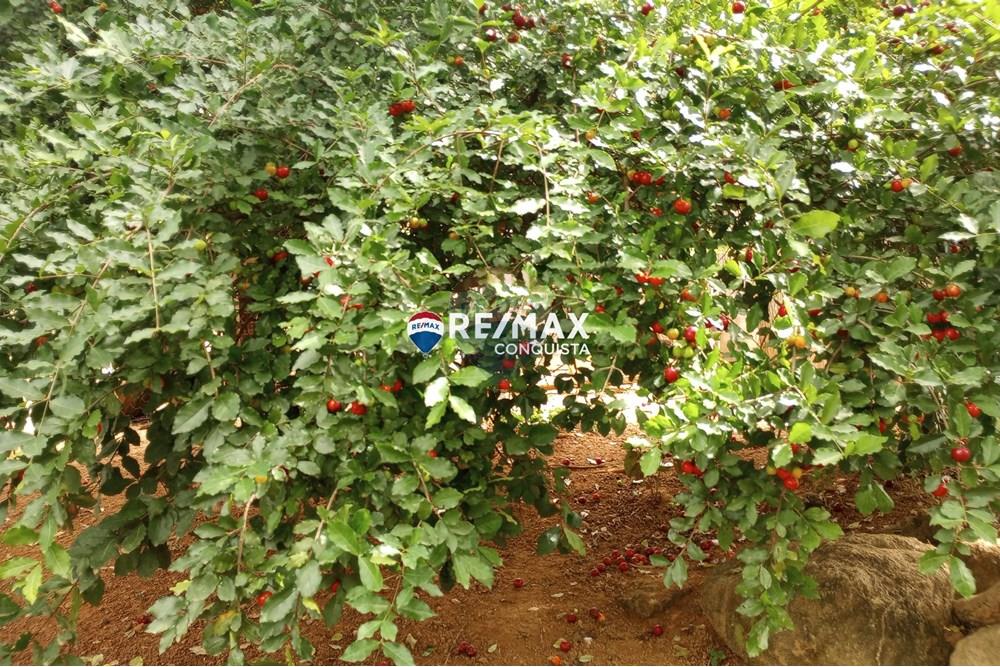 Chácara / Sítio / Fazenda - Venda - Ipanema , Minas Gerais - 2_image_2_watermark_seg._12052025_100555.jpg - 870451004-100