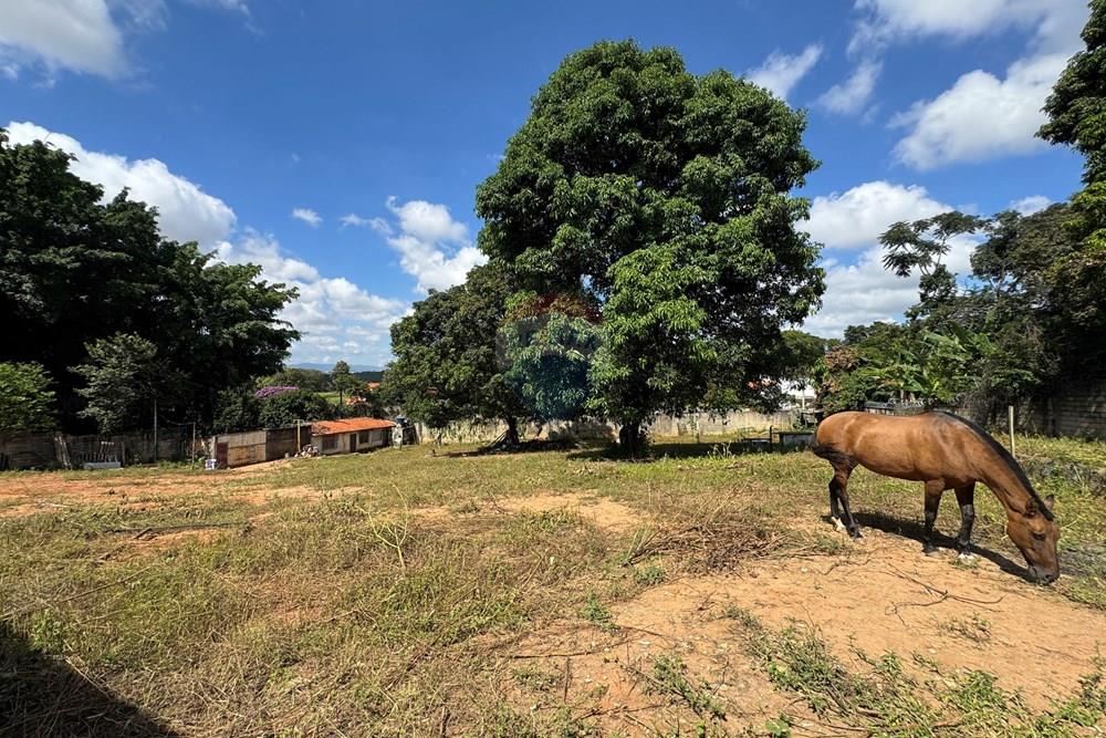 Terreno - Venda - Belo Horizonte , Minas Gerais - IMG_9684.JPG - 870411141-20