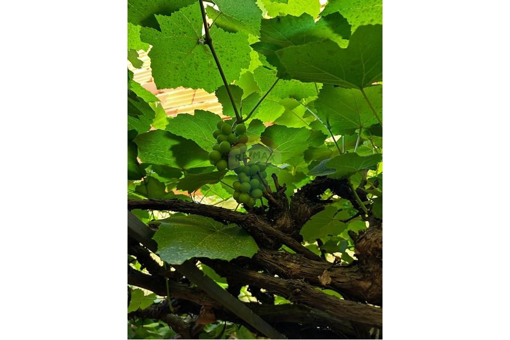 Sobrado - Venda - Dom Cavati , Minas Gerais - 6c9a81ea-e0aa-4084-aff7-9f3f4592610c.jpg - 870671006-48