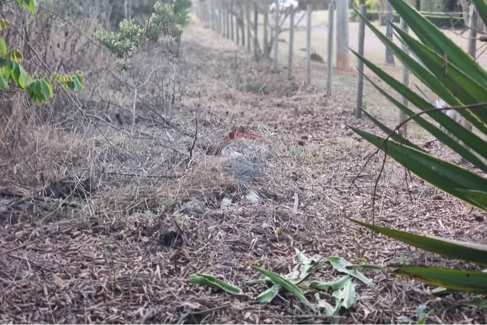 Terreno - Venda - Nova Lima , Minas Gerais - Foto 2.jpg - 870421084-16