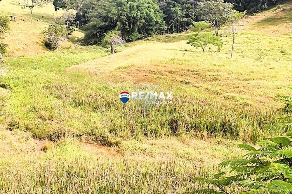 Chácara / Sítio / Fazenda - Venda - Ipanema , Minas Gerais - 1_IMG_20240515_093303_watermark_dom._23062024_100703.jpg - 870451001-122