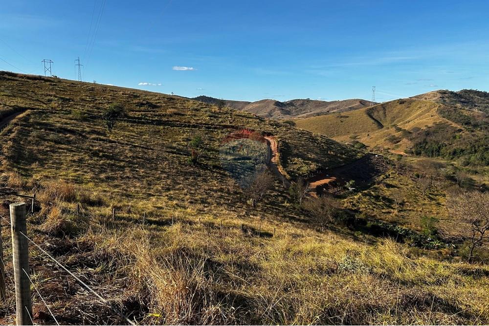 Chácara / Sítio / Fazenda - Venda - Governador Valadares , Minas Gerais - IMG_3023.jpg - 870671001-156