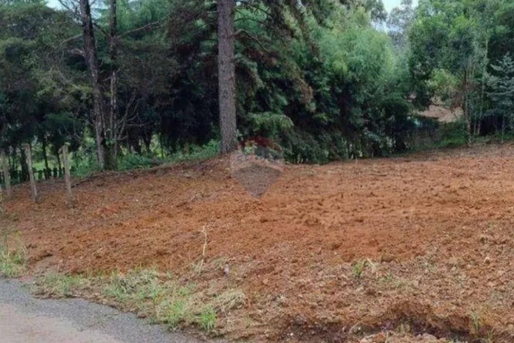 Terreno - Venda - Poços de Caldas , Minas Gerais - WhatsApp Image 2026-03-13 at 12.43.56.jpeg - 870361071-16