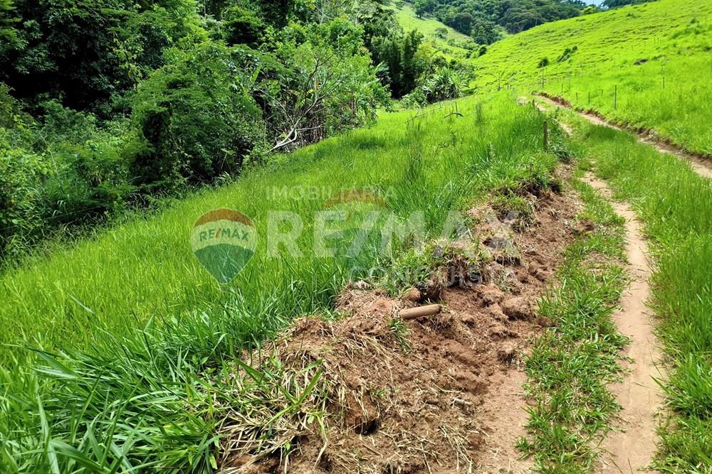 Chácara / Sítio / Fazenda - Venda - Taparuba , Minas Gerais - 0_image_0_watermark_ter._17022026_130731.jpg - 870451001-165