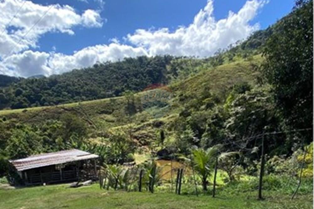 Chácara / Sítio / Fazenda - Venda - Ipatinga , Minas Gerais - WhatsApp Image 2025-10-09 at 17.37.08.jpeg - 870711007-44