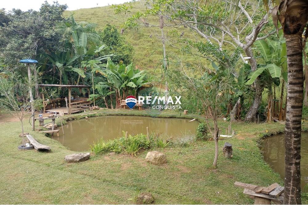 Chácara / Sítio / Fazenda - Venda - Ipanema , Minas Gerais - 4_image_4_watermark_seg._12052025_100556.jpg - 870451004-100