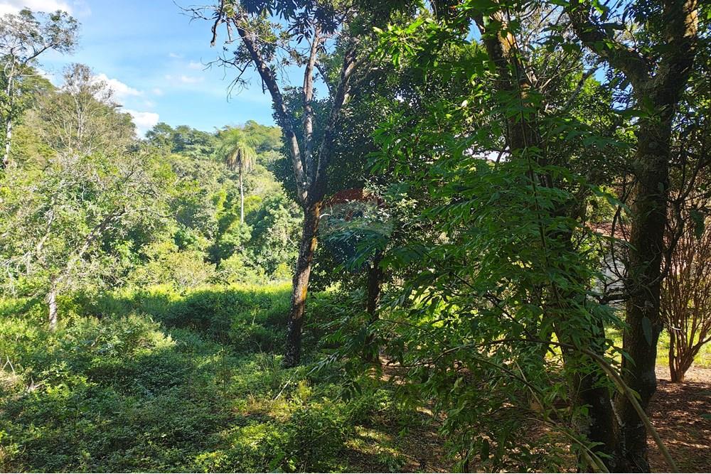 Terreno - Venda - Betim , Minas Gerais - IMG_20250614_105817435_HDR.jpg - 870411113-22