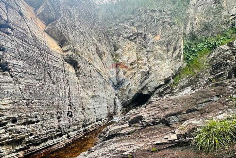 Chácara / Sítio / Fazenda - Venda - Delfinópolis , Minas Gerais - 10.jpg - 870721005-23