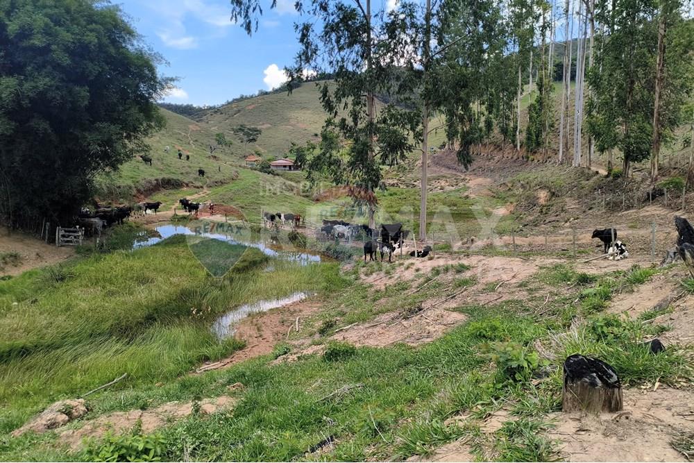Chácara / Sítio / Fazenda - Venda - Taparuba , Minas Gerais - 6_image_6_watermark_sex._19122025_102131.jpg - 870451001-158