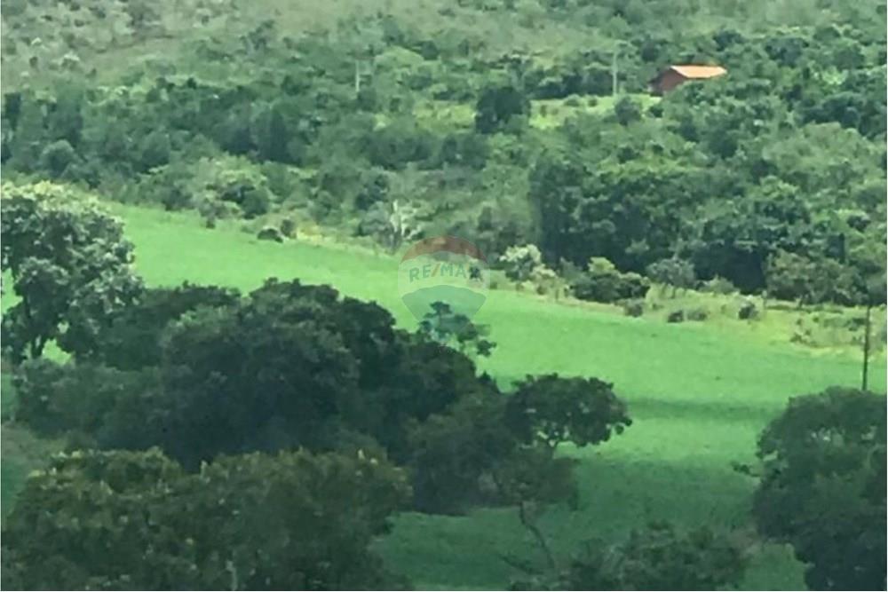 Chácara / Sítio / Fazenda - Venda - Delfinópolis , Minas Gerais - 24.jpg - 870721005-23