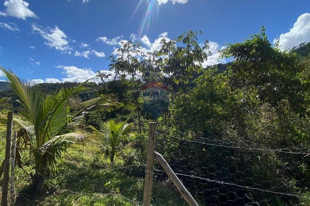 Chácara / Sítio / Fazenda - Venda - Ipatinga , Minas Gerais - WhatsApp Image 2025-10-09 at 17.37.03.jpeg - 870711007-44