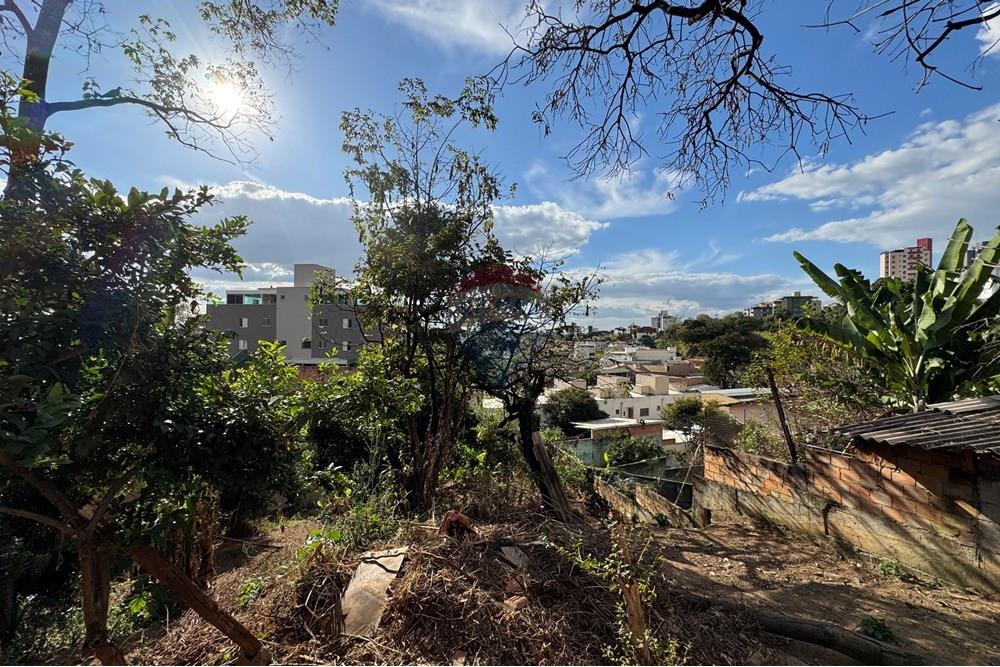 Terreno - Venda - Belo Horizonte , Minas Gerais - IMG_0288.JPG - 870411048-65