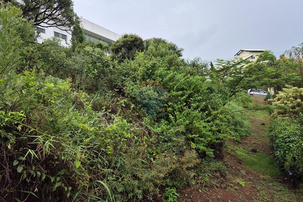 Terreno - Venda - Nova Lima , Minas Gerais - 20260318_105130.jpg - 870421084-35