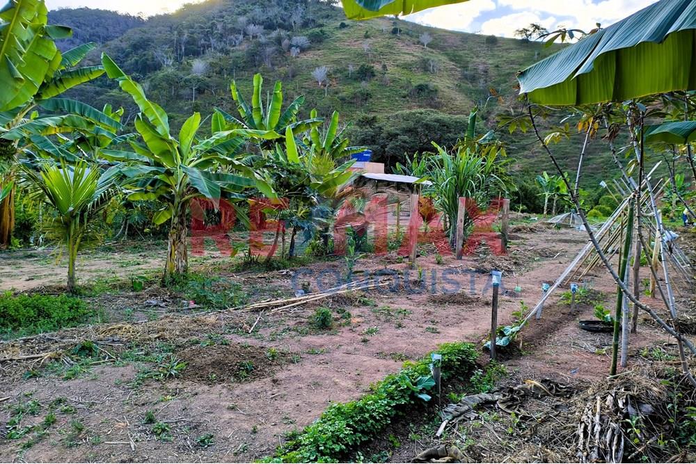 Chácara / Sítio / Fazenda - Venda - Conceição de Ipanema , Minas Gerais - 9_image_9_watermark_seg._01092025_205101.jpg - 870451001-144