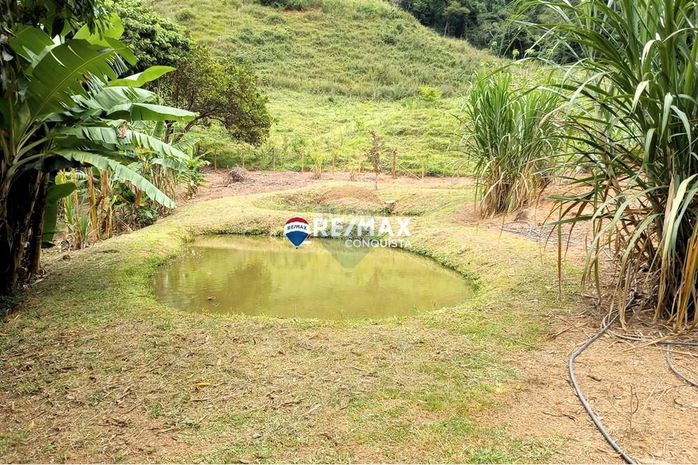 Chácara / Sítio / Fazenda - Venda - Ipanema , Minas Gerais - 4_image_4_watermark_seg._12052025_100311.jpg - 870451004-100