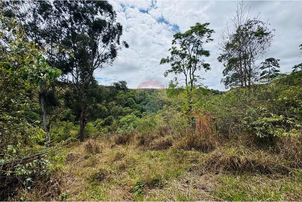 Chácara / Sítio / Fazenda - Venda - Caeté , Minas Gerais - IMG-20251030-WA0325.jpg - 870421116-90