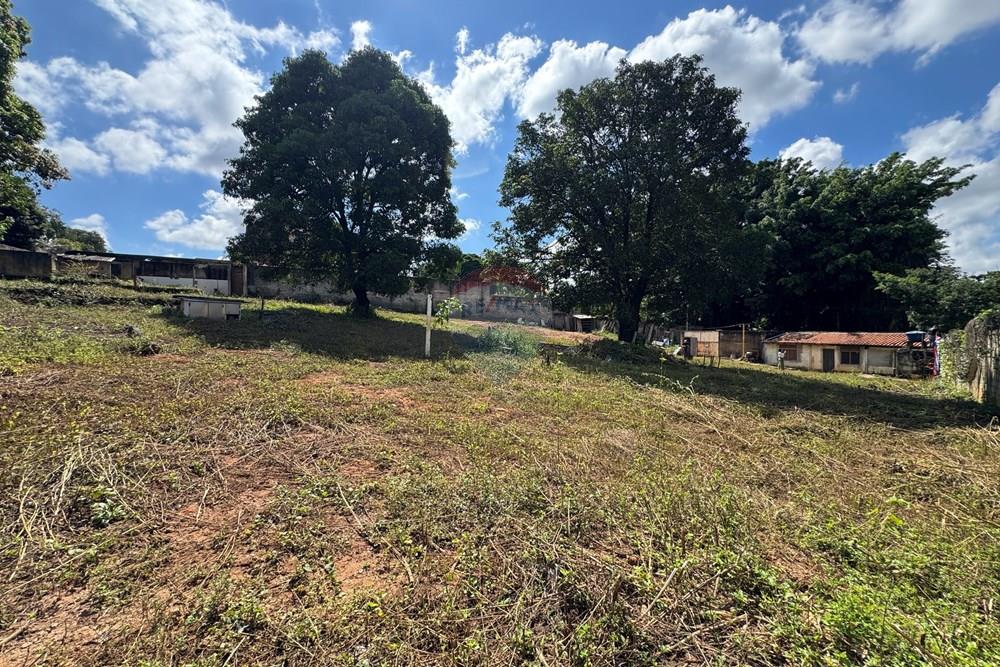 Terreno - Venda - Belo Horizonte , Minas Gerais - IMG_9667.JPG - 870411141-20