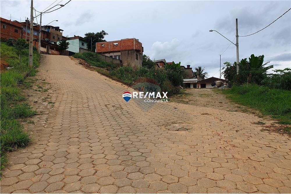 Terreno - Venda - Ipanema , Minas Gerais - 8 - 870451004-110