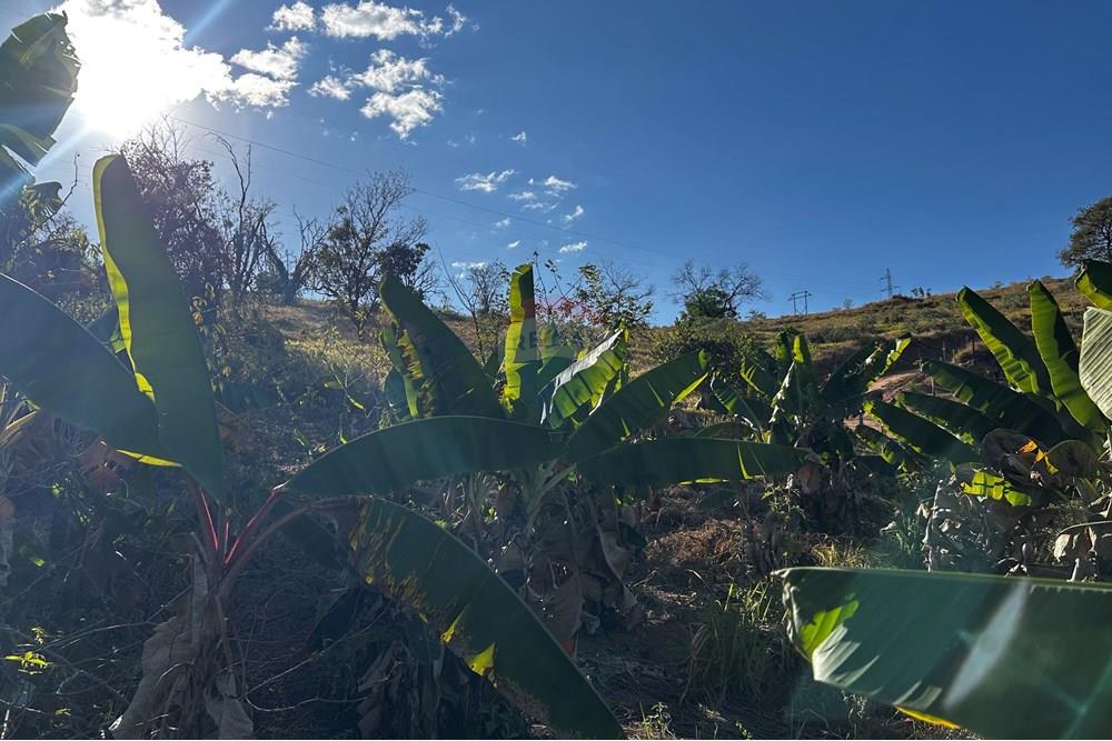 Chácara / Sítio / Fazenda - Venda - Governador Valadares , Minas Gerais - IMG_3008.jpg - 870671001-156