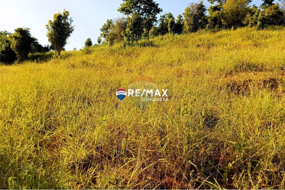 Chácara / Sítio / Fazenda - Venda - Pocrane , Minas Gerais - WhatsApp Image 2025-04-08 at 09.45.10.jpeg - 870451001-124