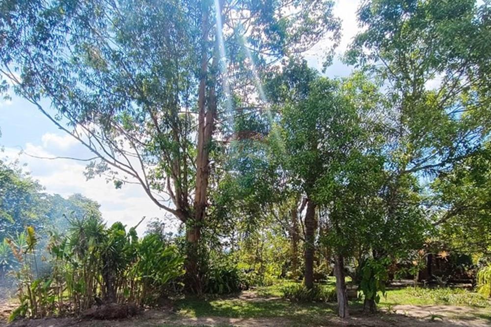 Terreno - Venda - Brumadinho , Minas Gerais - WhatsApp Image 2025-11-20 at 10.07.25 (1).jpeg - 870421014-359