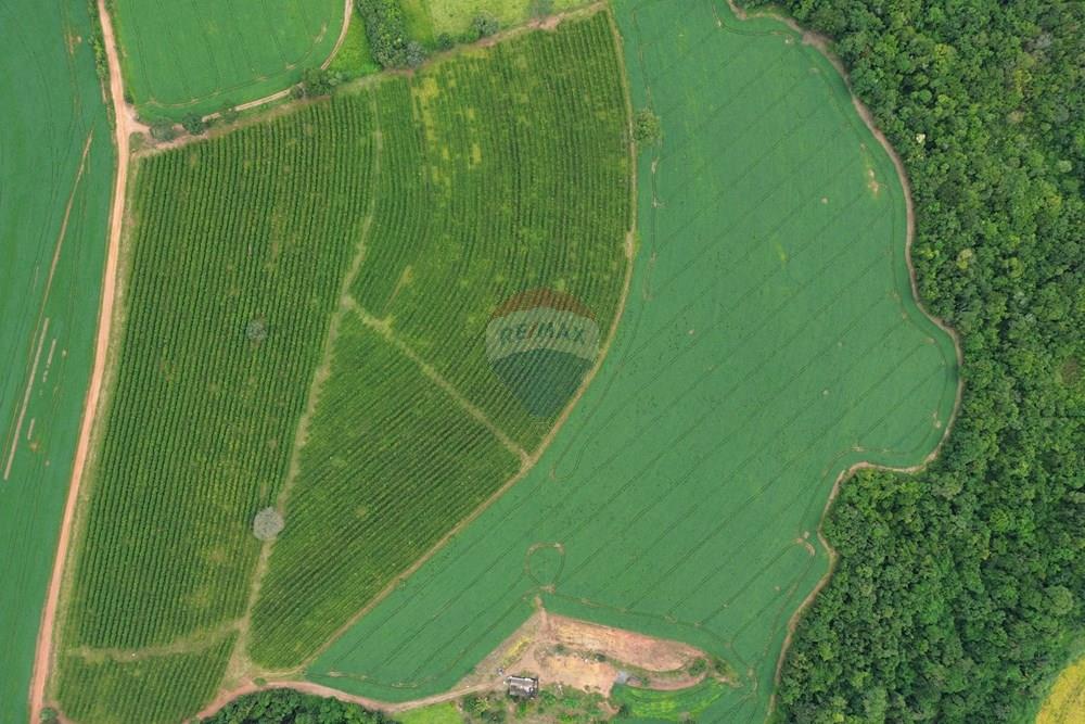 Fazenda - Venda - Araxá , Minas Gerais - 08.JPG - Pátio interno - 870431045-58