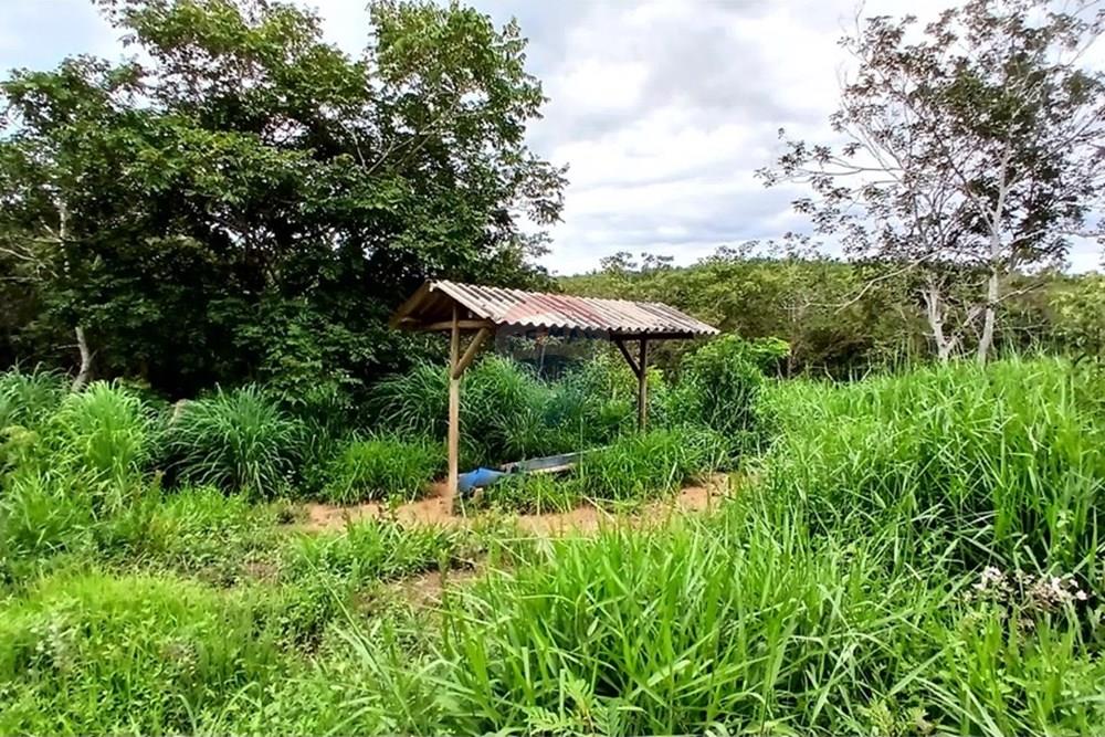 Fazenda - Venda - Inimutaba , Minas Gerais - 20260127_163122.jpg - 870411101-21