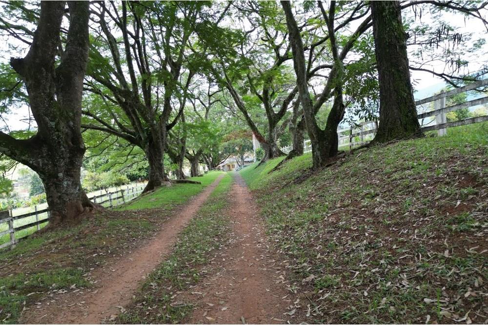 Chácara / Sítio / Fazenda - Venda - Andradas , Minas Gerais - WhatsApp Image 2025-07-25 at 10.35.45 (1).jpeg - 870361041-118