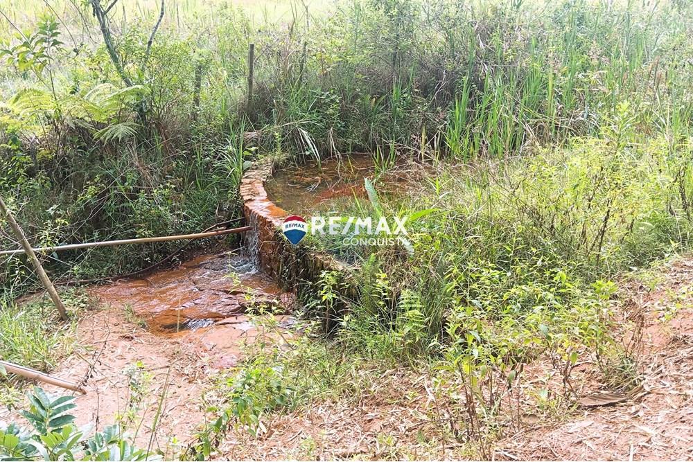 Chácara / Sítio / Fazenda - Venda - Conceição de Ipanema , Minas Gerais - 0_image_0_watermark_sáb._12042025_141553.jpg - 870451013-61