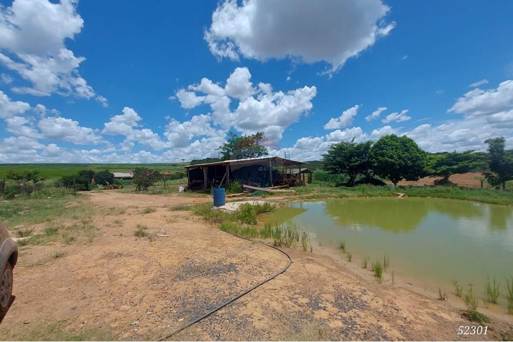 Chácara / Sítio / Fazenda - Venda - Perdizes , Minas Gerais - WhatsApp Image 2025-02-25 at 19.55.20 (1).jpeg - 870431028-37
