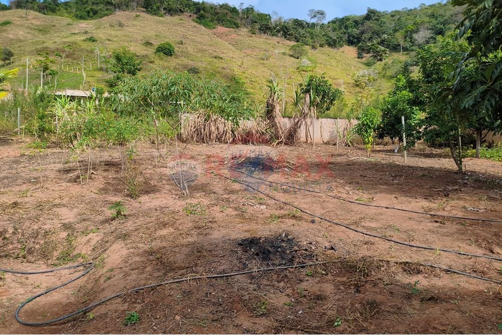 Chácara / Sítio / Fazenda - Venda - Ipanema , Minas Gerais - 0_image_0_watermark_sáb._21062025_165403.jpg - 870451013-66