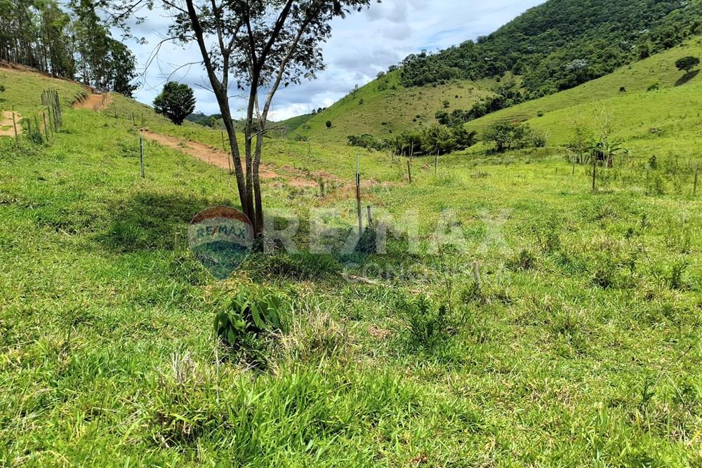 Chácara / Sítio / Fazenda - Venda - Taparuba , Minas Gerais - 4_image_4_watermark_ter._17022026_130556.jpg - 870451001-165