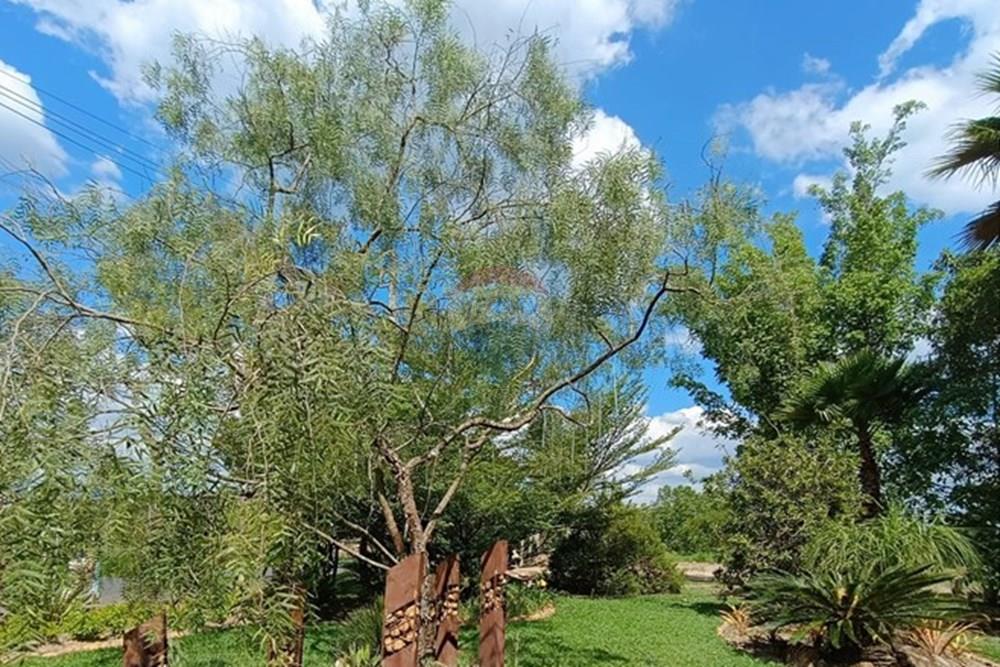 Terreno - Venda - Brumadinho , Minas Gerais - WhatsApp Image 2025-11-20 at 10.07.27.jpeg - 870421014-353