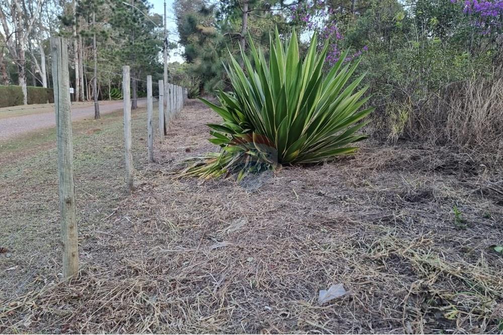 Terreno - Venda - Nova Lima , Minas Gerais - Foto 5.jpg - 870421084-16
