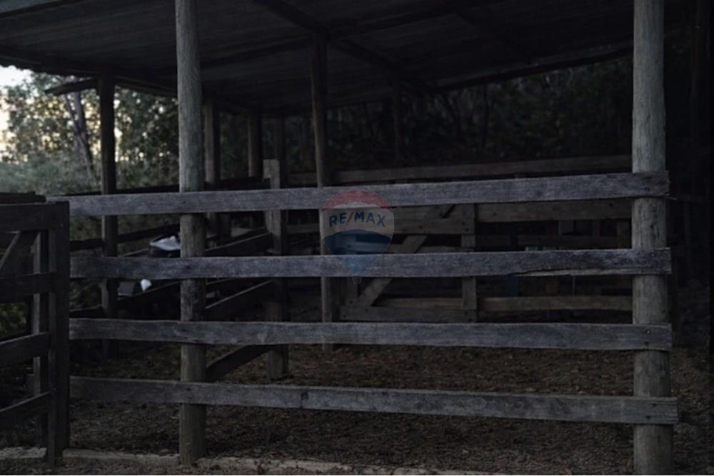 Casa - Venda - Contagem , Minas Gerais - curral.jpeg - 870411113-37