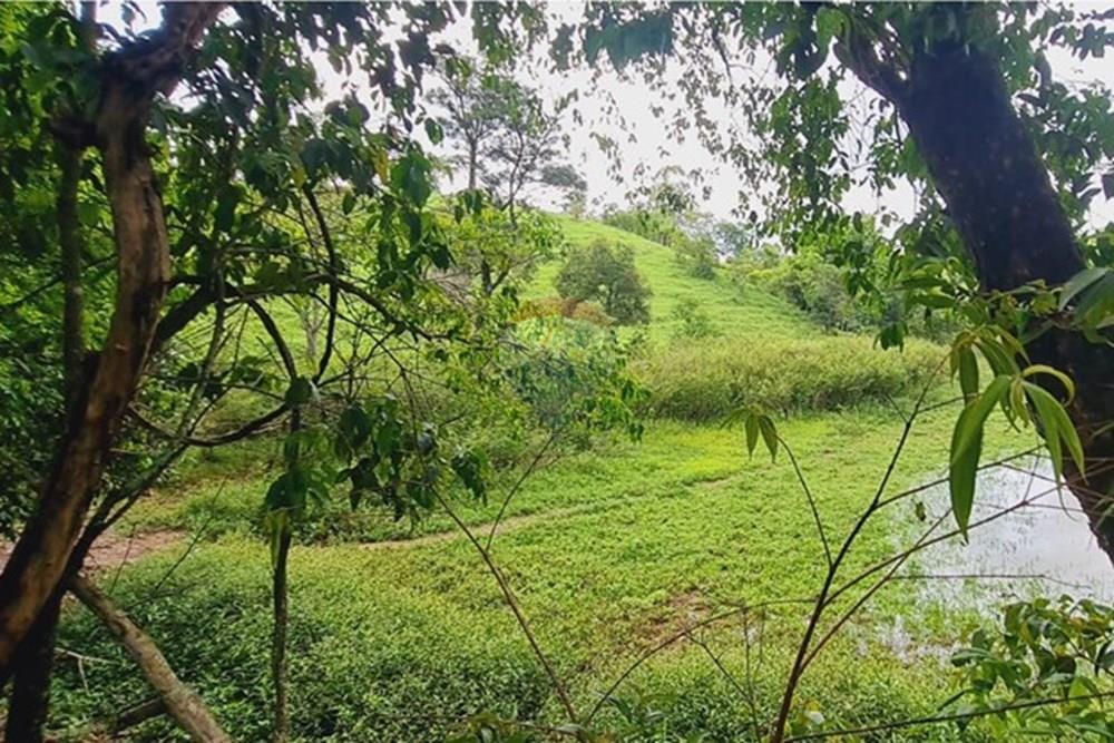 Fazenda - Venda - Pedro Leopoldo , Minas Gerais - WhatsApp Image 2025-12-11 at 16.48.51.jpeg - 870411117-34