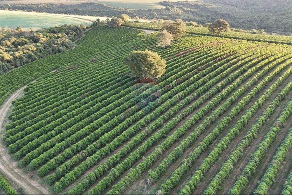 Fazenda - Venda - Ibiá , Minas Gerais - WhatsApp Image 2025-07-07 at 16.26.50.jpeg - 870431012-52