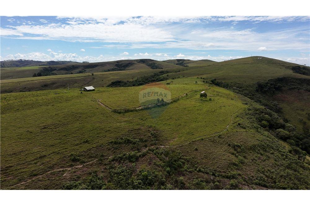 Fazenda - Venda - São Roque de Minas , Minas Gerais - 20 - 870431039-47