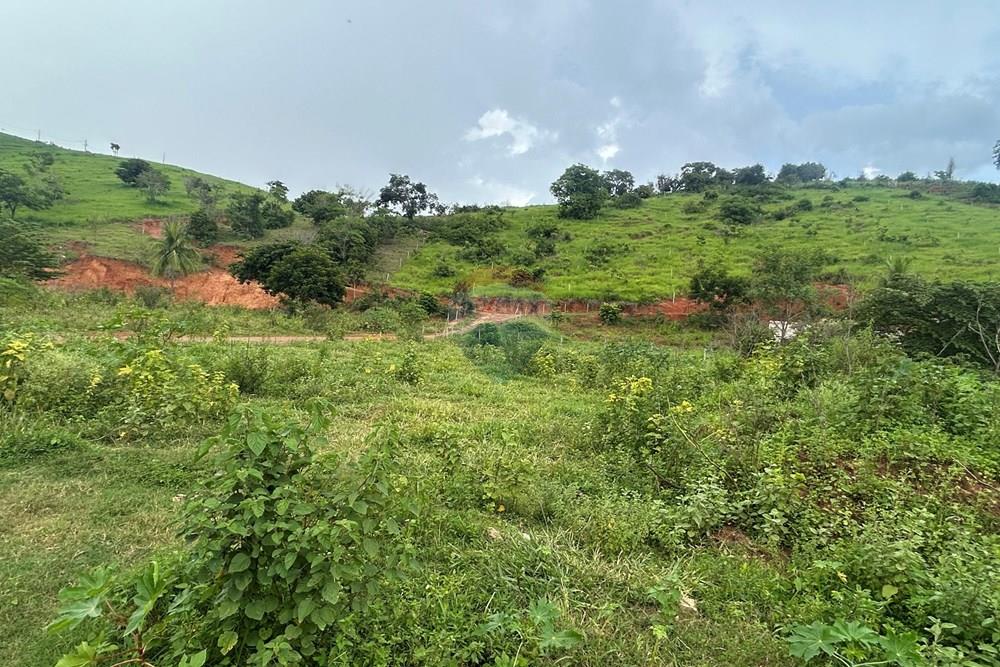 Chácara / Sítio / Fazenda - Venda - Alpercata , Minas Gerais - IMG_5644.jpg - 870671001-154