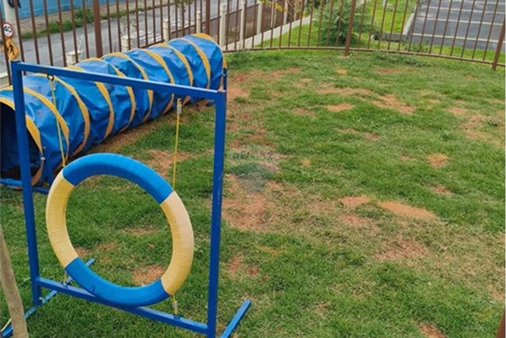 Apartamento - Venda - Belo Horizonte , Minas Gerais - Foto de Corretora Deise Schumaltz (3).jpg - 870411150-3