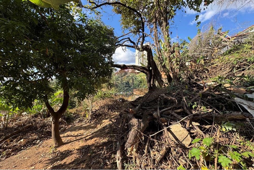 Terreno - Venda - Belo Horizonte , Minas Gerais - IMG_0295.JPG - 870411048-65