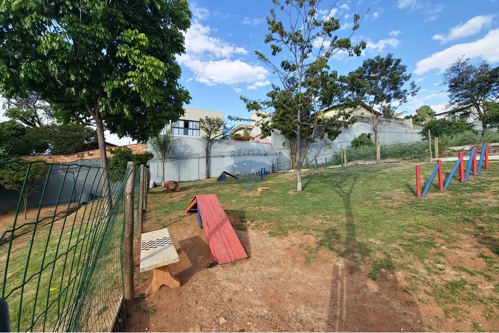 Apartamento - Alugar - Belo Horizonte , Minas Gerais - 20251129_164518.jpg - 870241078-61