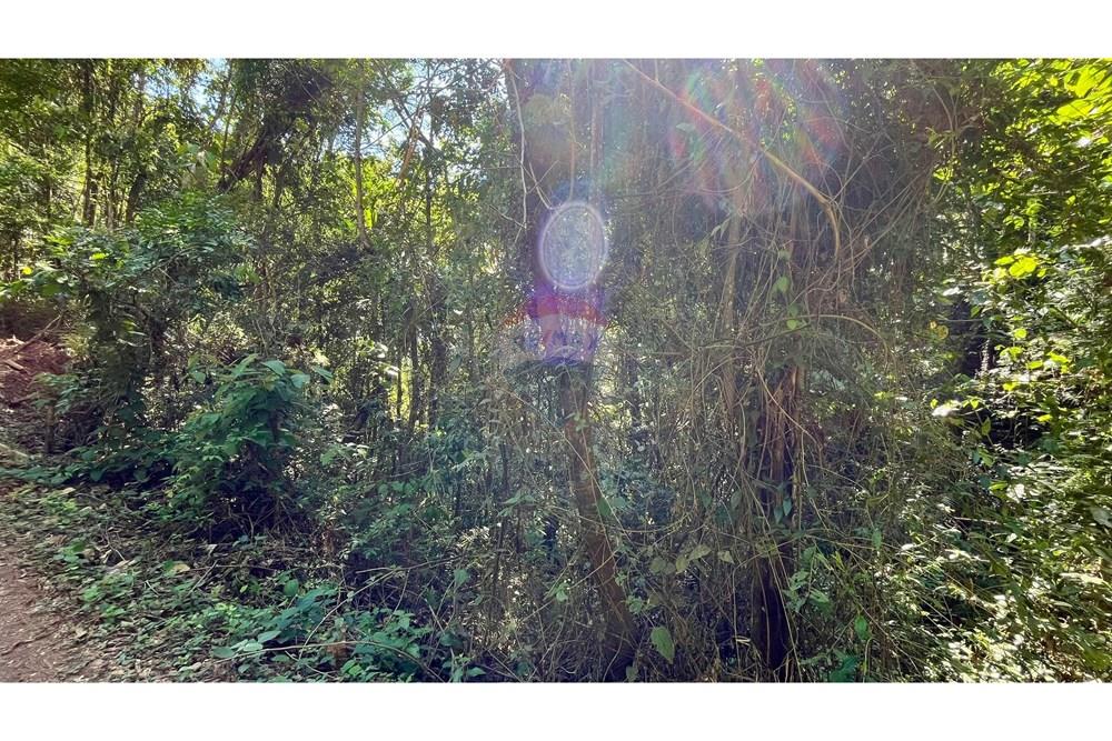 Terreno - Venda - Nova Lima , Minas Gerais - WhatsApp Image 2025-11-04 at 10.48.10 (2).jpeg - 870351032-24