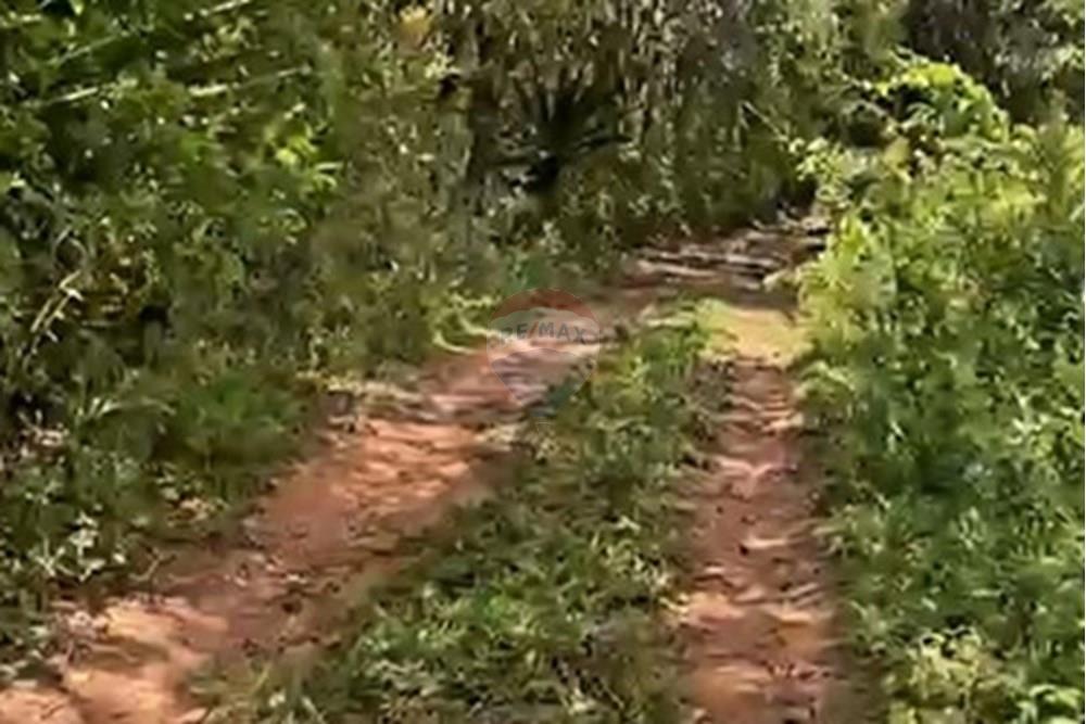 Terreno - Venda - Nova Lima , Minas Gerais - Foto terreno Campo do Pires 20.jpeg - 870241097-38