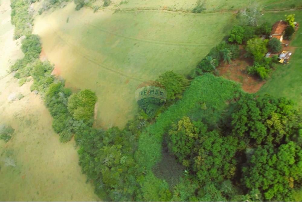 Chácara / Sítio / Fazenda - Venda - Uberaba , Minas Gerais - 03 Fazenda Venda R$ 4.500.000 em Uberaba na Remax 870291025-114.jpeg - 870291025-114