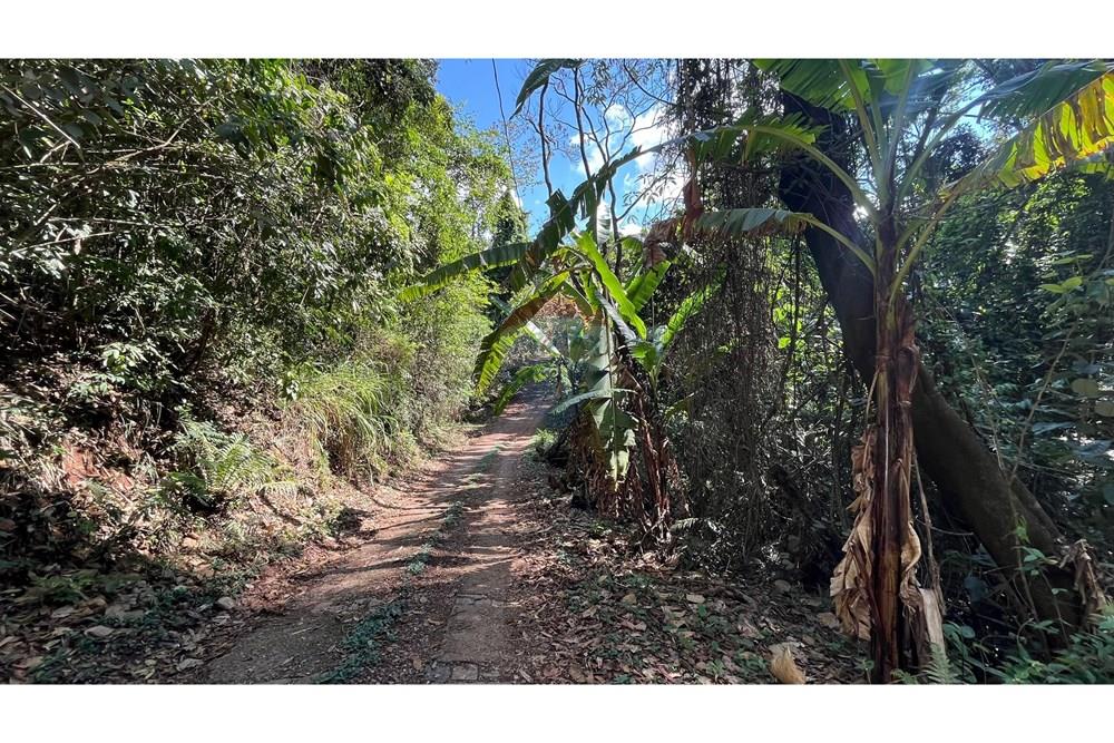 Terreno - Venda - Nova Lima , Minas Gerais - WhatsApp Image 2025-11-04 at 10.48.11.jpeg - 870351032-24