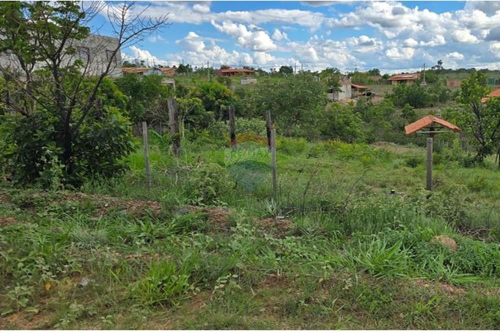 Terreno - Venda - Felixlândia , Minas Gerais - WhatsApp Image 2025-12-11 at 16.54.39.jpeg - 870411117-5