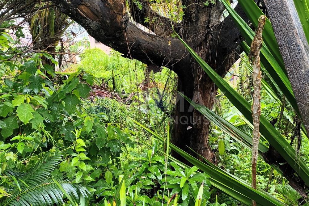 Casa - Venda - Ipanema , Minas Gerais - 3_image_3_watermark_qua._21012026_191105.jpg - 870451001-162