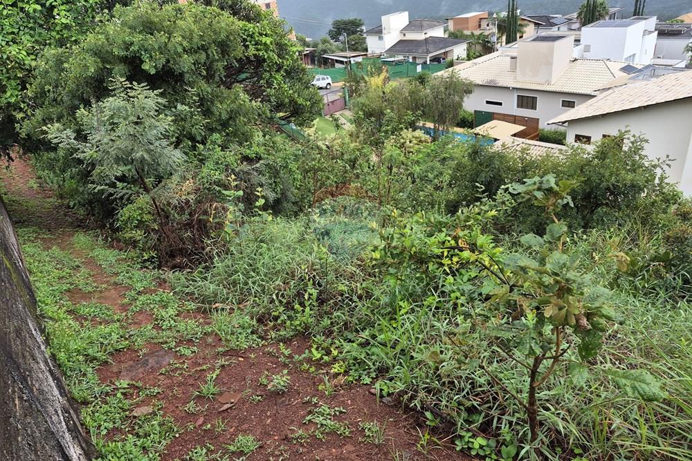 Terreno - Venda - Nova Lima , Minas Gerais - 20260318_105848.jpg - 870421084-35