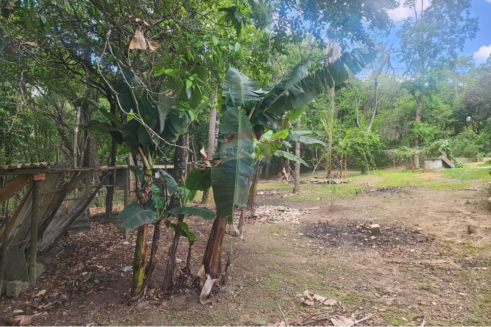 Chácara / Sítio / Fazenda - Venda - Contagem , Minas Gerais - FOTO78.jpg - 870241112-48